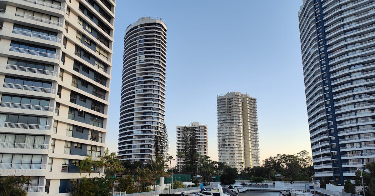 Jackie Fuchs évoque Rock Hard 1977 : Des Runaways aux jeux de société