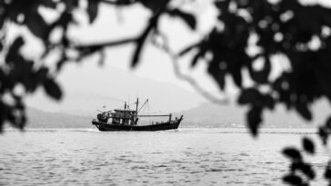 découvrez l'univers fascinant des pirates : histoires audacieuses, légendes épiques, et l'art du combat en mer. plongez dans l'aventure maritime et explorez la vie des flibustiers à travers les âges.