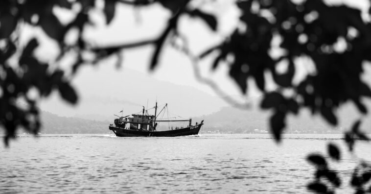 découvrez l'univers fascinant des pirates : histoires audacieuses, légendes épiques, et l'art du combat en mer. plongez dans l'aventure maritime et explorez la vie des flibustiers à travers les âges.